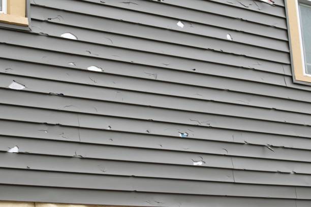 Best Fiber Cement Siding Installation  in Norwalk, CA
